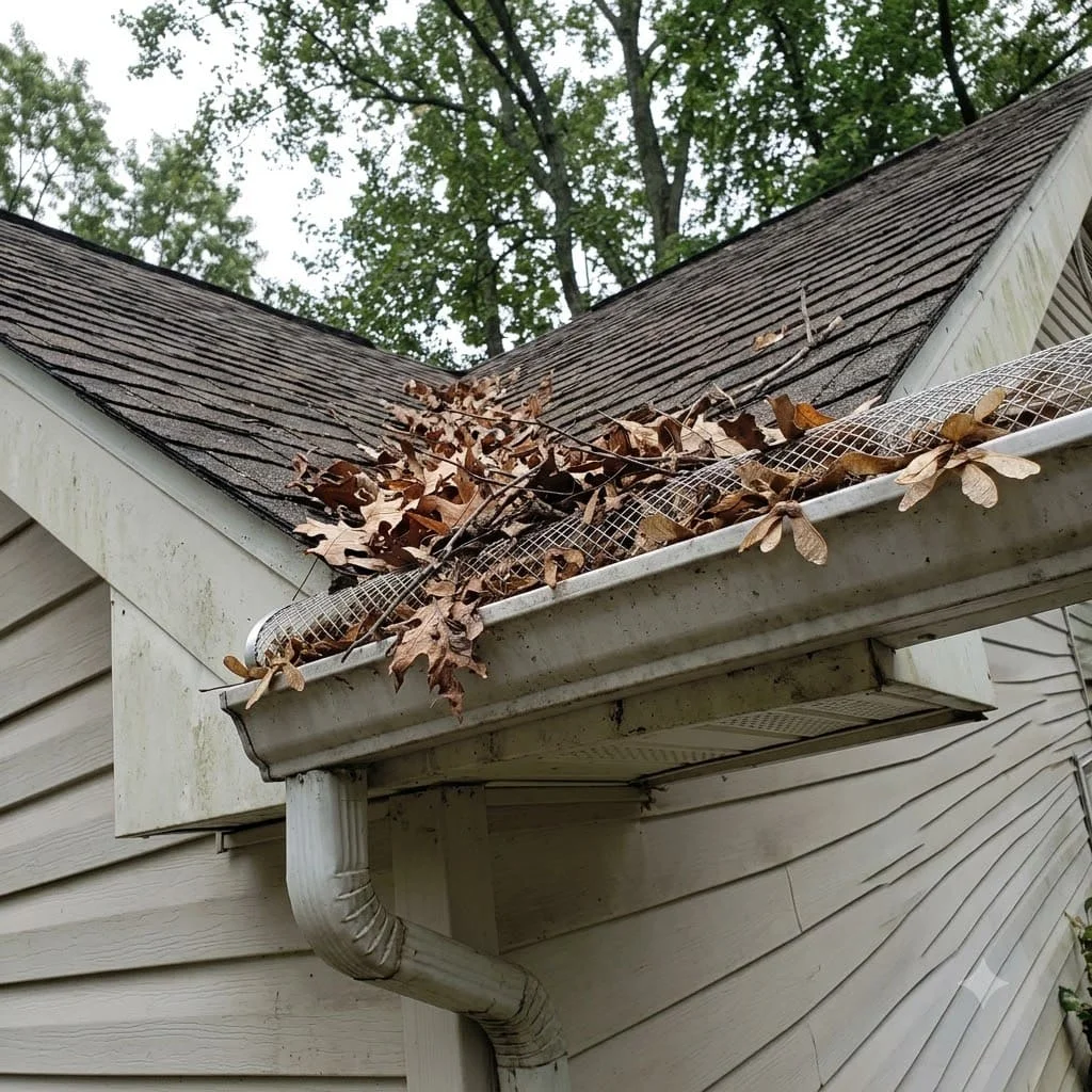 A gutter guard with leaves and seed pods on the surface